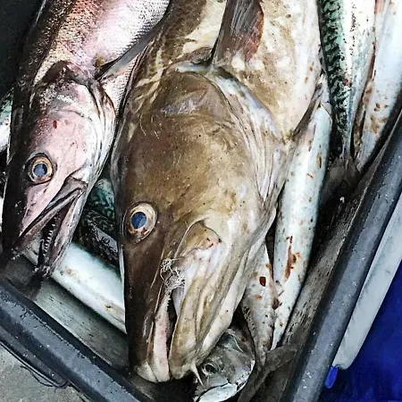 10 Person In Bygstad-by Traum *