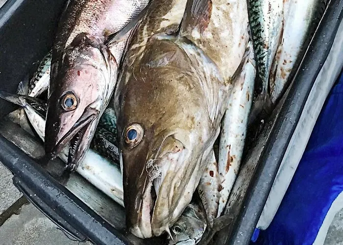 10 Person In Bygstad-by Traum *